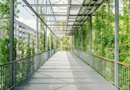 MFO Park in Oerlikon Zürich, Fotografie, Architekturfotografie